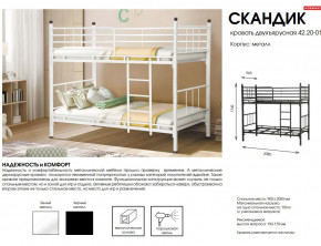 Кровать двухъярусная Скандик 42.20-01 в Карабаше - karabash.mebel74.com | фото 2