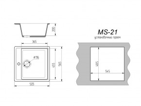 Кухонная мойка MS-21 в Карабаше - karabash.mebel74.com | фото 2