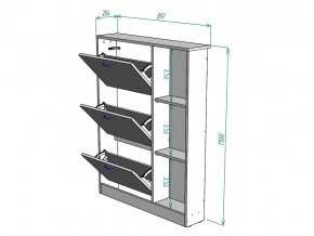 Обувница W107 в Карабаше - karabash.mebel74.com | фото 3