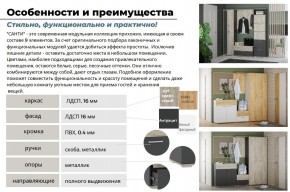 Прихожая Санти Белый/Дуб Крафт Золотой в Карабаше - karabash.mebel74.com | фото 3