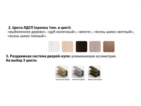 Шкаф-купе Акцент-Сим Д 1500-600 шимо светлый в Карабаше - karabash.mebel74.com | фото 3