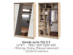 шкаф-купе ПШ-2.9 1500 Норд Белый жемчуг 1500 в Карабаше - karabash.mebel74.com | фото