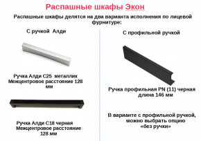 Шкаф с 1 ящиком со штангой Экон ЭШ1-РП-19-4-R-1я с зеркалом в Карабаше - karabash.mebel74.com | фото 2