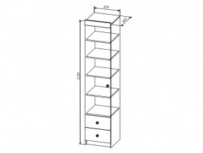 Шкаф Сканди ШД450.1 в Карабаше - karabash.mebel74.com | фото 2